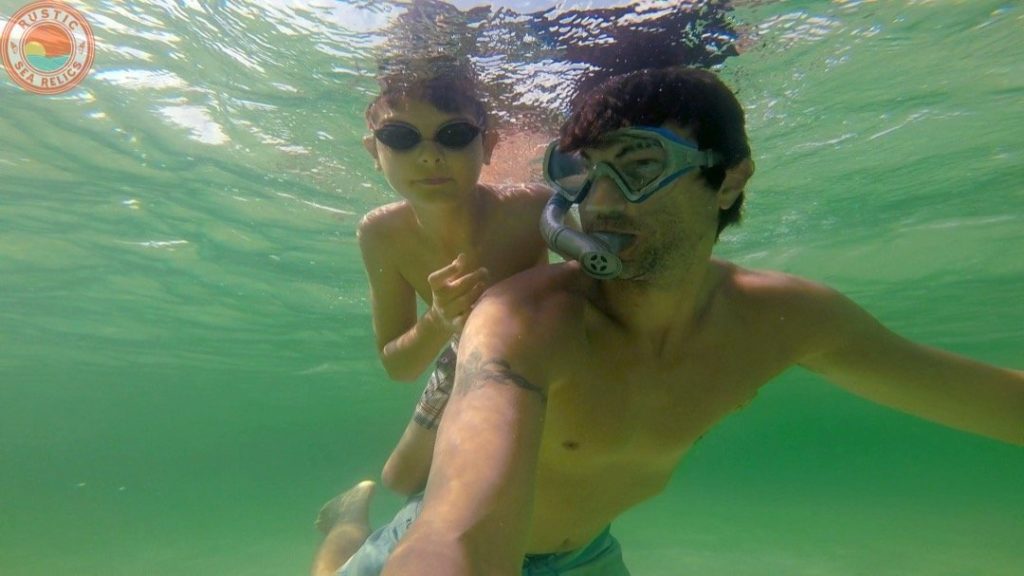 snorkeling for sand dollars - Destin Florida beach