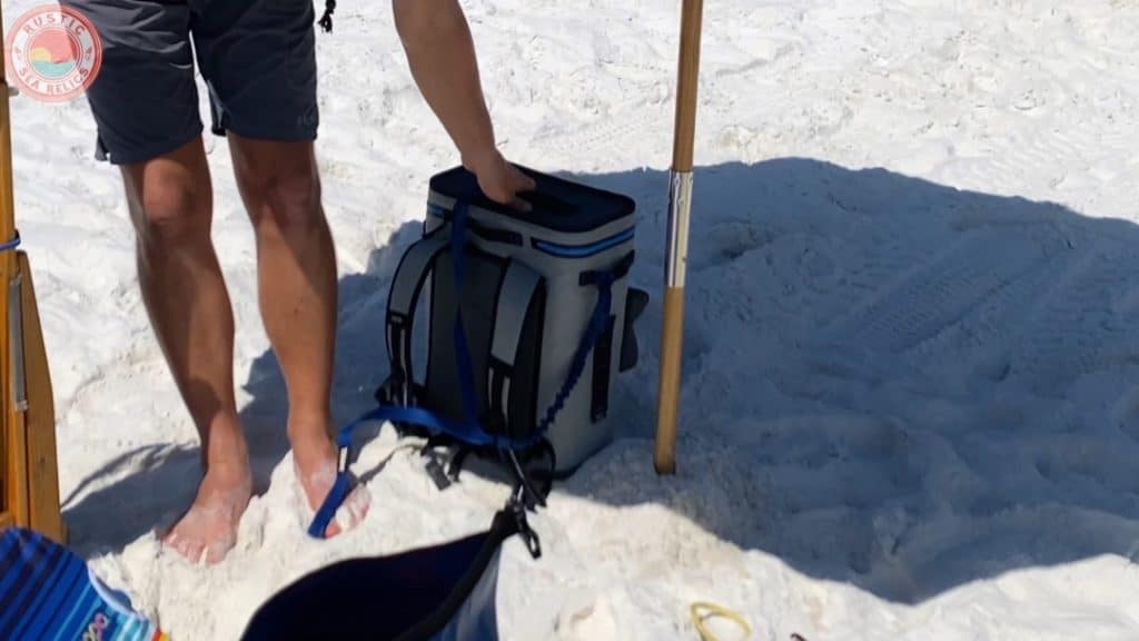 beach backpack cooler