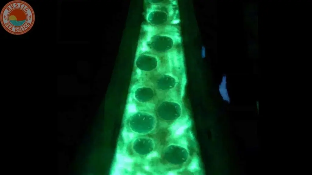 Epoxy Ocean Glow Table