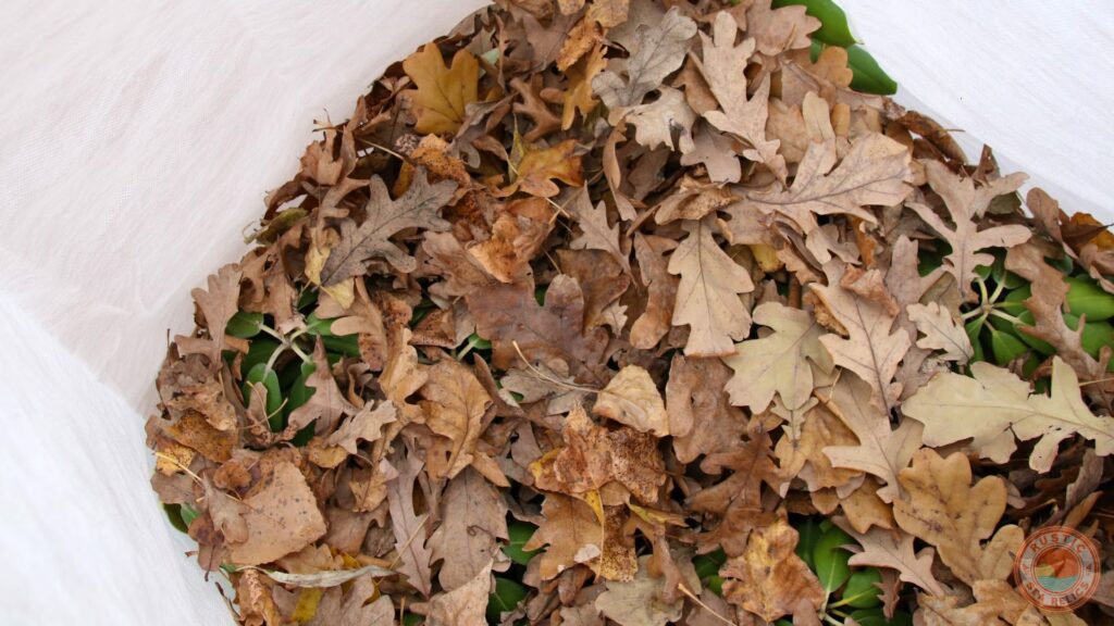 leaf mulch for florida garden