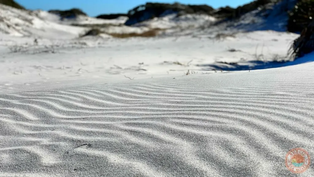 Grayton Beach State Park sand dunes